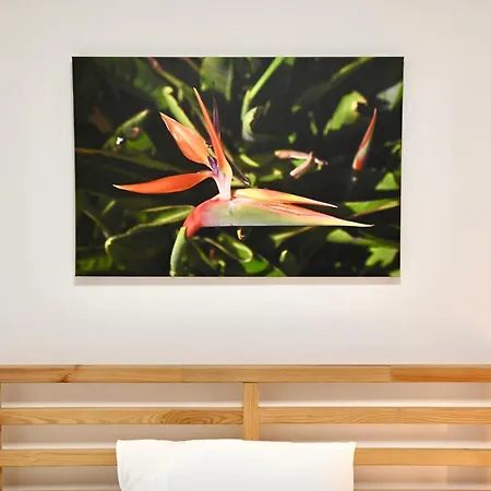Feriehus Casa Lusiadas