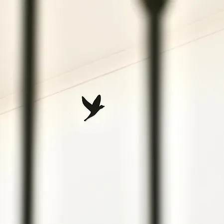 Casa Lusiadas Σπίτι διακοπών Constância