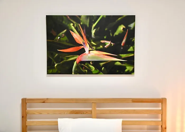 度假居 Casa Lusiadas