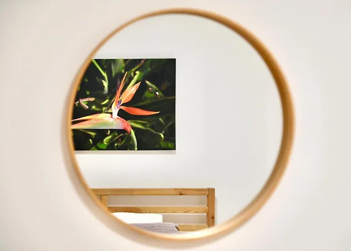 Casa Lusiadas 度假居